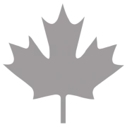DSP Hitches logo