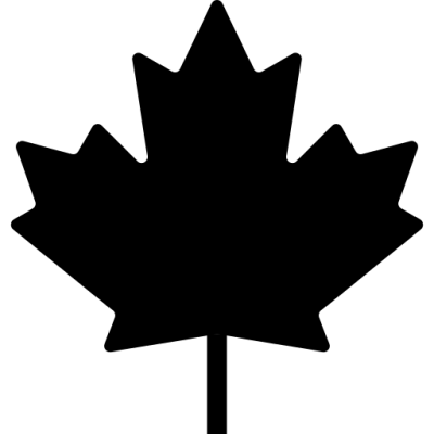 Northsoap logo